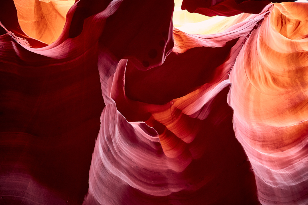 Nikofoto photograph