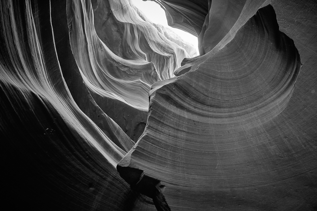 Nikofoto photograph